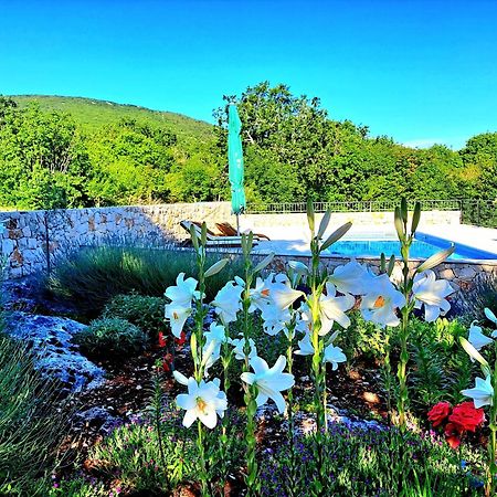 Relaxing Dalmatian House In Village Ljubitovica Dış mekan fotoğraf