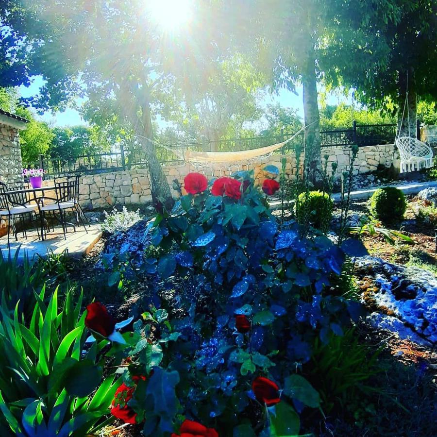 Relaxing Dalmatian House In Village Ljubitovica Dış mekan fotoğraf