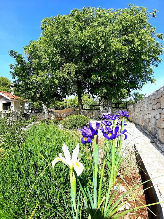 Relaxing Dalmatian House In Village Ljubitovica Dış mekan fotoğraf
