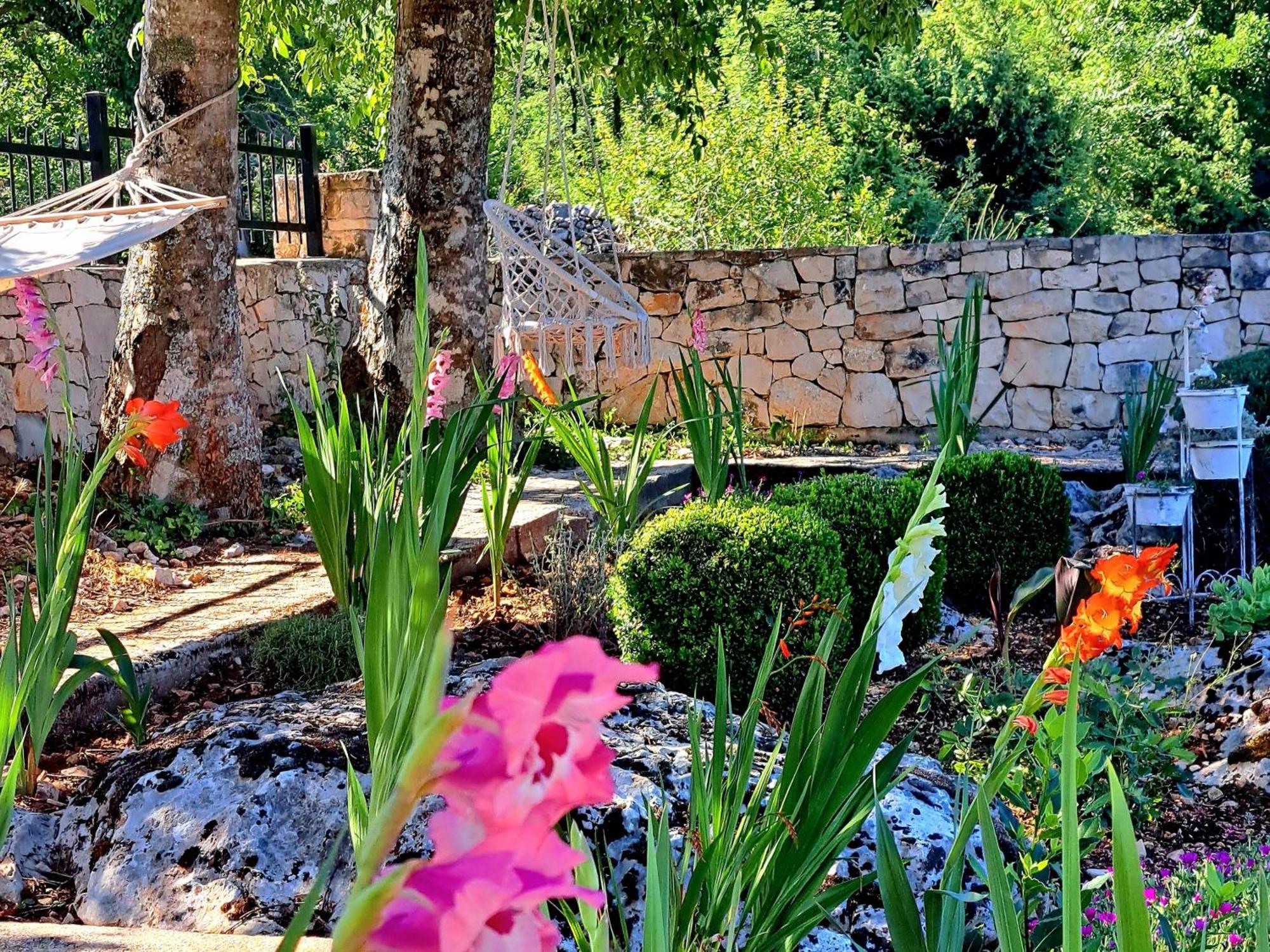 Relaxing Dalmatian House In Village Ljubitovica Dış mekan fotoğraf