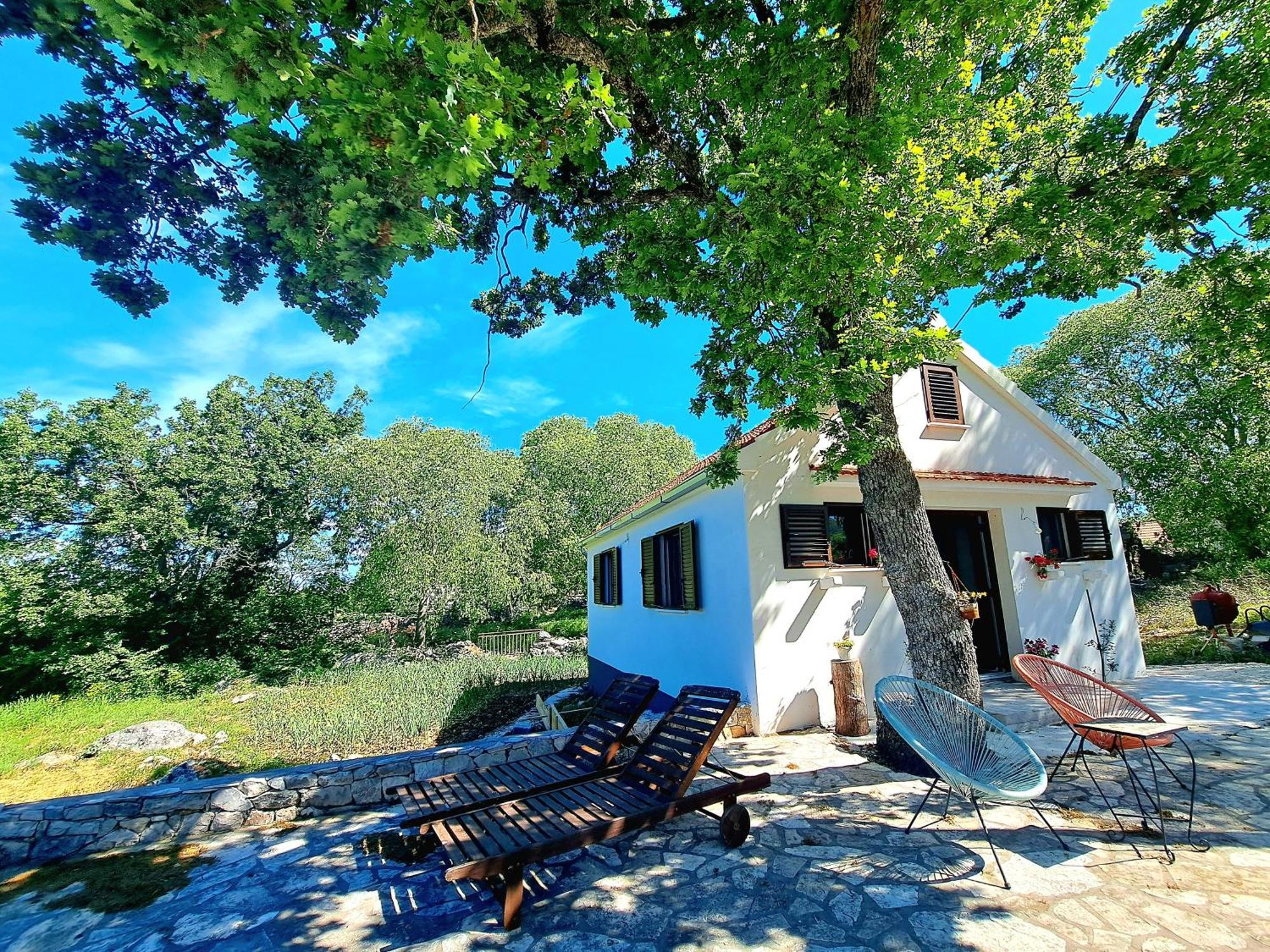 Relaxing Dalmatian House In Village Ljubitovica Dış mekan fotoğraf